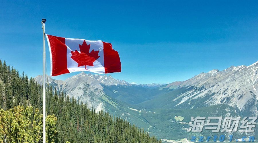 快讯丨2024年度县（市、区）党委书记和市直有关工委（党委、党组）书记抓基层党建工作述职评议会召开